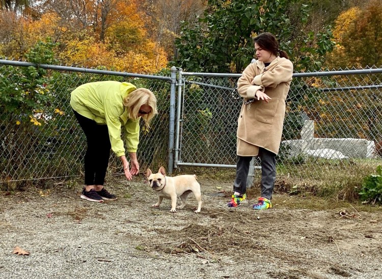 Jane Lincoln, left, reaches for Tootsie while Bethany Lund, the dog's owner, looks on Oct. 25 in Hallowell.