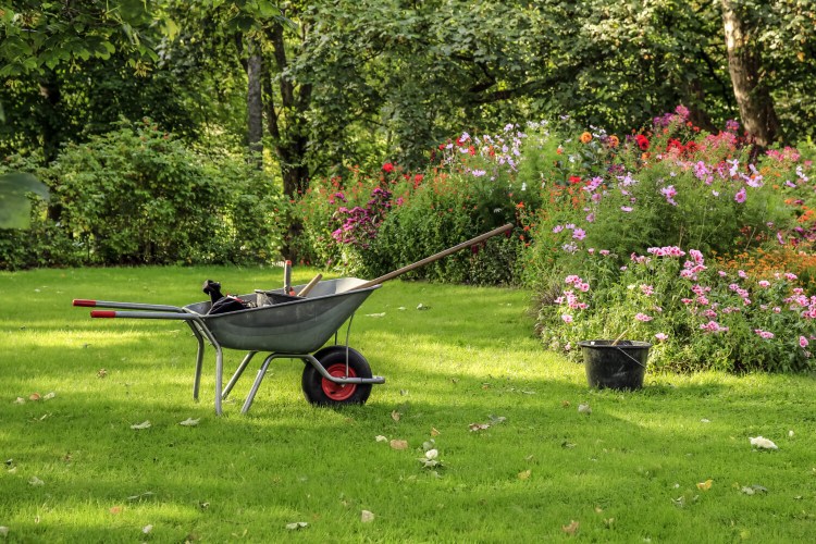 An old-fashioned wheelbarrow remains one of columnist Tom Atwell's favorite ways to haul stuff while working in the garden. 