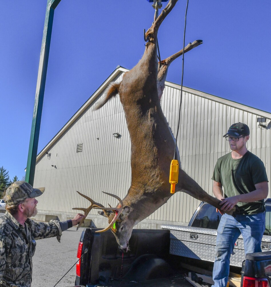 Adam Woodard, left, and store employee Dakotah Labreck weigh the 198-pound deer that Woodard brought in to be tagged Saturday at Tobey's Grocery in China. Saturday was the first of firearms deer hunting season and was only open to Maine residents.