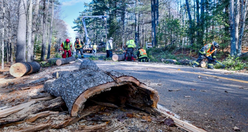 Monmouth firefighters assist a Lucas Tree crew Friday as it works to clear a fallen tree along Route 135 while Central Maine Power workers repair electrical wires.