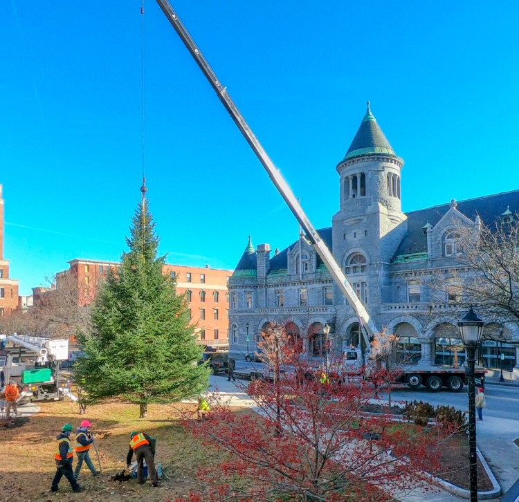 A Lajoie Brothers crane moves a 40-foot tall fir tree into place on Saturday November 23, 2019 in Market Square in downtown Augusta. (Staff photo by Joe Phelan/Staff Photographer)