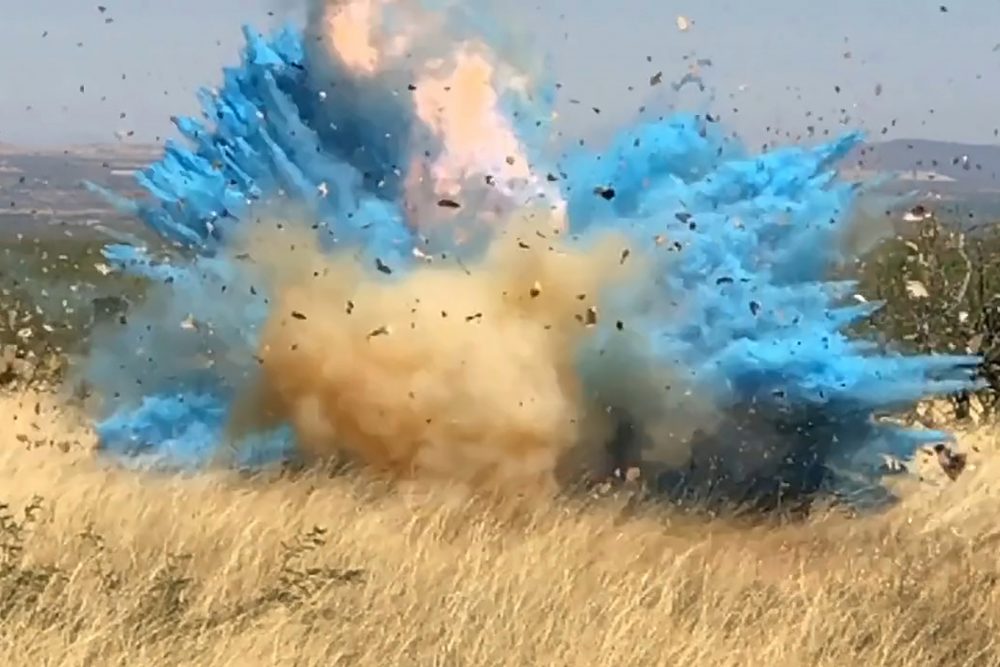 Gender_Reveal_Explosions_00443