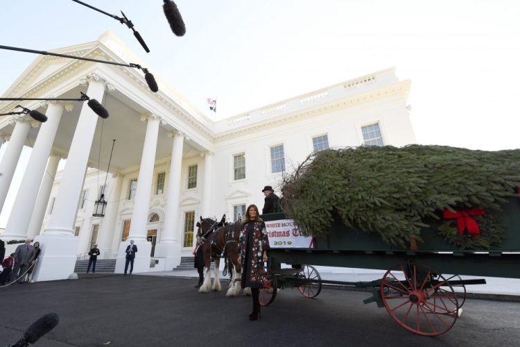 First lady Melania Trump poses with the 2019 White House Christmas tree as it is delivered to the White House in Washington, Monday.