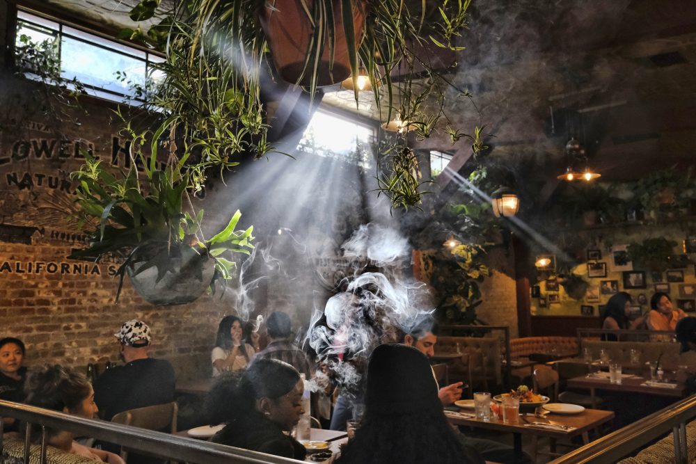 US_Marijuana_Congress_60942