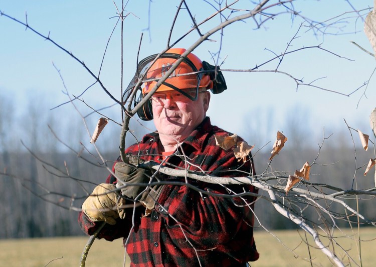 Tom Jacobs clears trees Wednesday from a stone fence along a field he hays in Readfied.
