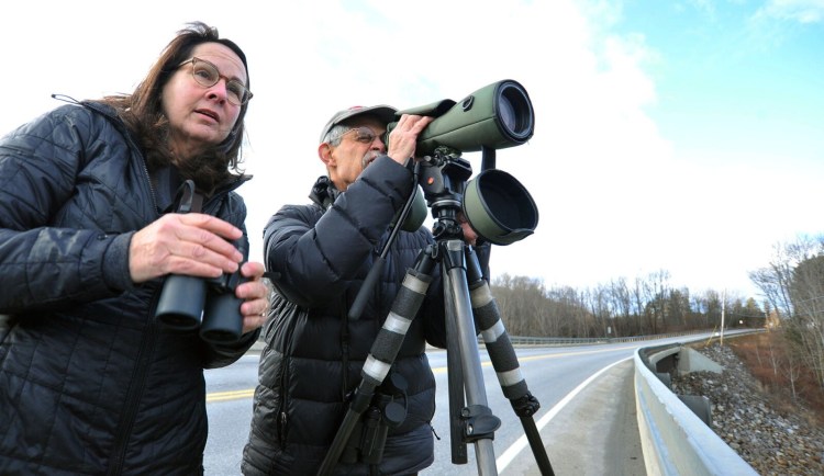 Lea and Jose Ramirez use binoculars and a spotting scope while counting black ducks on the Sebasticook Stream during the National Audubon Society Christmas Bird Count in Winslow on Sunday.