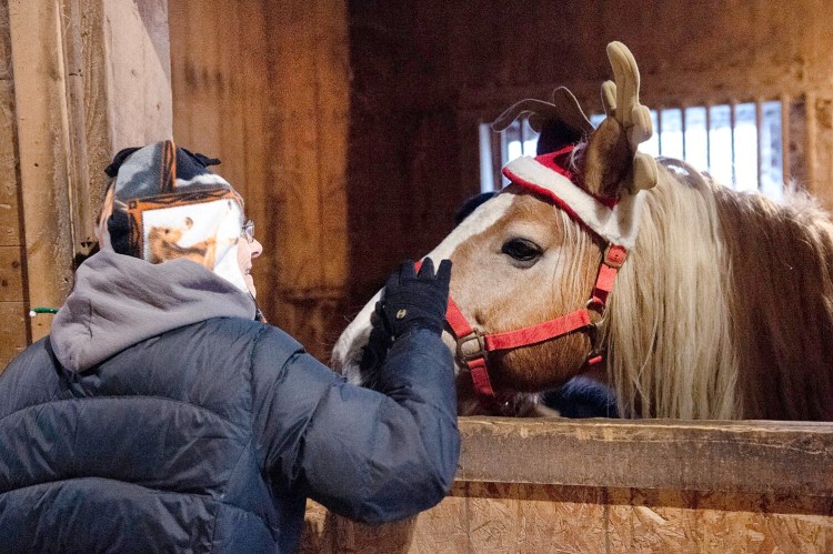 Carol Wyse-Ricker of Auburn gives Sarge some attention Saturday during the Winter Solstice Warm Feast for Horses and Cookie Swap at Maple Hill Farm in Auburn.