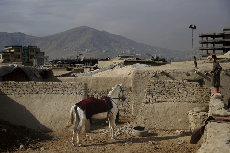 An Afghan boy stands on a wall near a horse tied up at a camp for internally displaced people in Kabul, Afghanistan, Monday. Tens of thousands of internally displaced Afghans live in camps, which lack basic facilities, across Afghanistan.