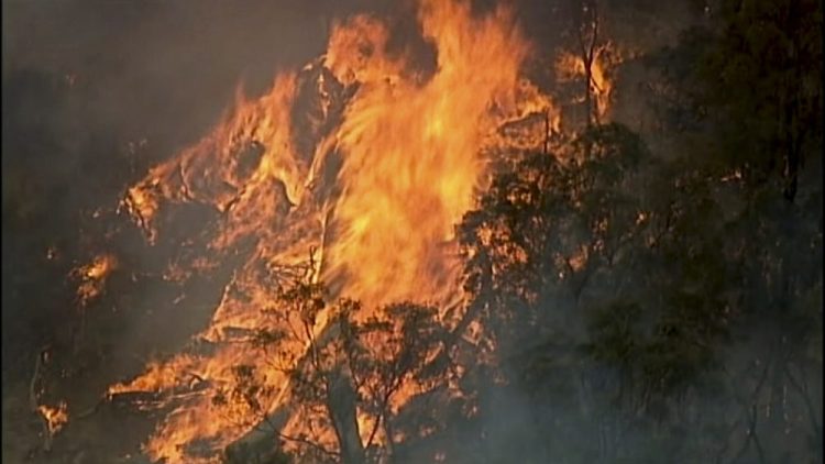 In this image made from video, an aerial scene shows fires burning in Bundoora, Victoria state, Monday, Dec. 30, 2019. 