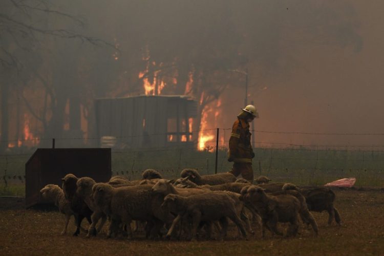 Rural Fire Service crew engage in property protection of a number of homes along the Old Hume Highway near the town of Tahmoor, New South Wales, as the Green Wattle Creek Fire threatens a number of communities in the southwest of Sydney. 