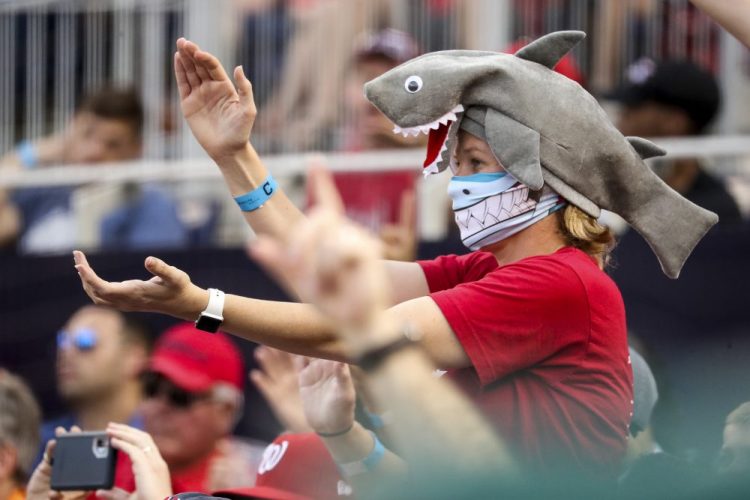 A fan wears a shark hat at a Washington Nationals' game in Washington on Sept. 29. Creators of the viral video “Baby Shark,” whose “doo doo doo” song was played at the World Series in October, are developing a version in Navajo. 