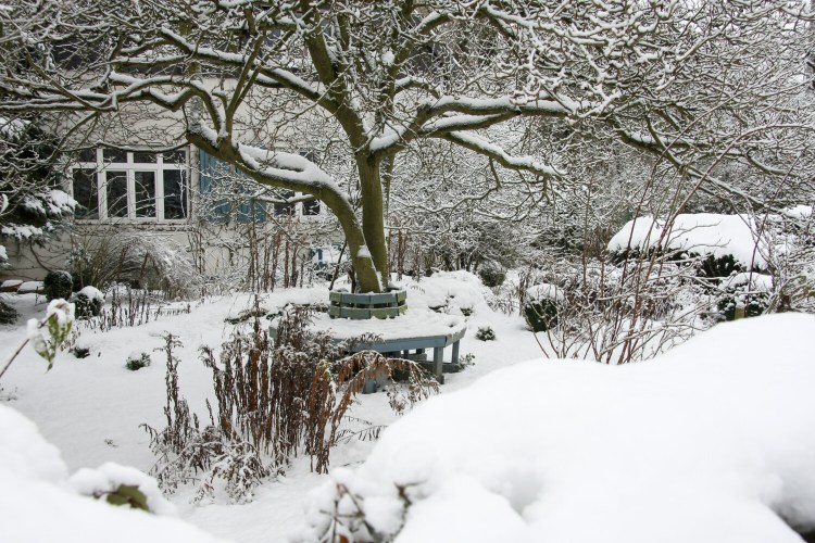 Homeowners often think of spring, summer and fall when they are planting a garden. But your garden can look lovely in the coldest months, too. 