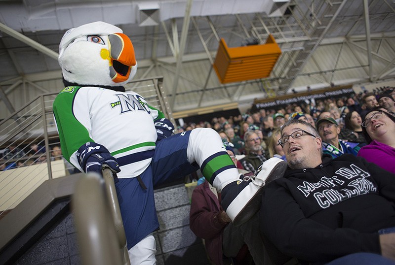 Maine Mariners introduce their mascot: Beacon the Puffin
