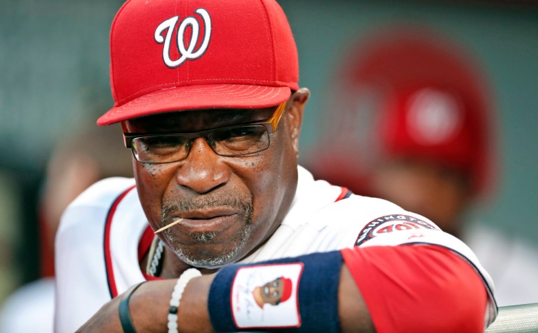 Red Roses Manager Five potential candidates as next Red Sox manager