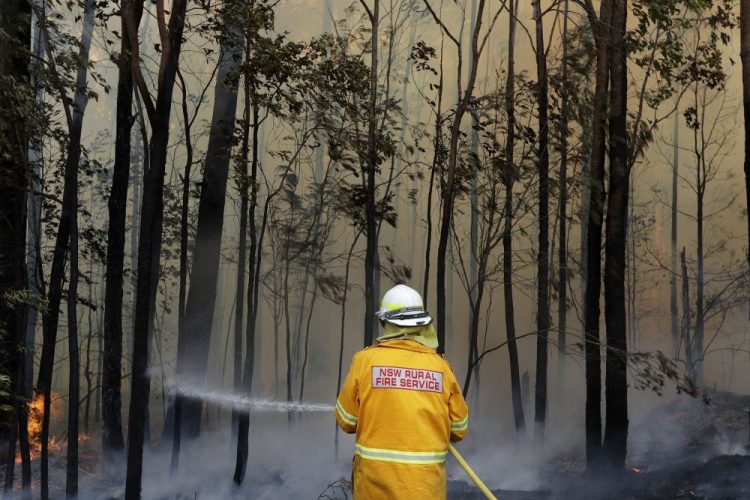 A firefighter manages a controlled burn near Tomerong, Australia, Wednesday, Jan. 8, 2020, in an effort to contain a larger fire nearby. 
