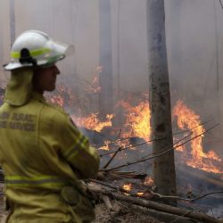 Australia_Wildfires_30477