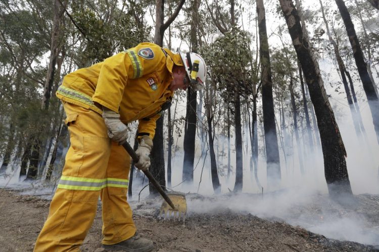 A firefighter uses a rake to manage a controlled burn near Tomerong, Australia, Wednesday, Jan. 8, 2020, in an effort to contain a larger fire nearby. 