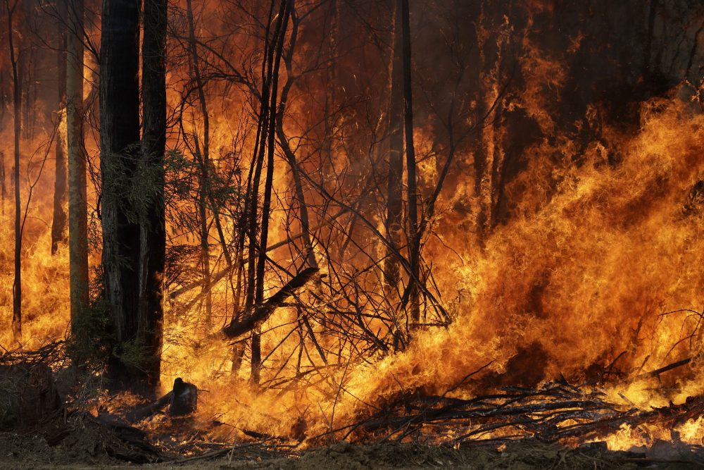 Australia_Wildfires_99663