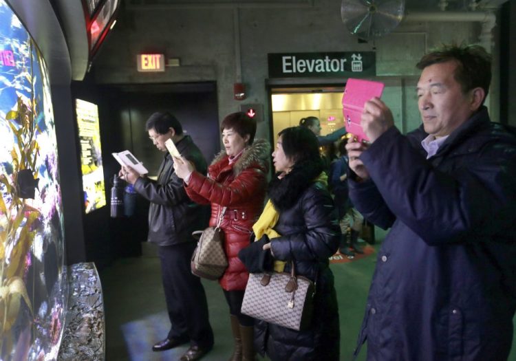 Tourists from China take pictures at the New England Aquarium in Boston in 2017. With tens of millions of Chinese on lockdown and many others opting to avoid travel as the new coronavirus spreads, tourism around the globe is taking a heavy hit. 