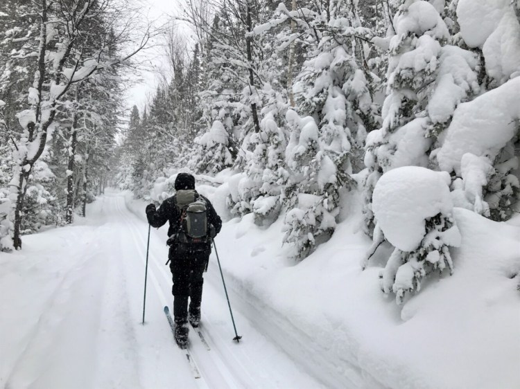 AMCer Peter Roderick skis the long, popular trail into Lac aux Amercains in Gaspe National Park in Quebec. The snow conditions were fabulous. 