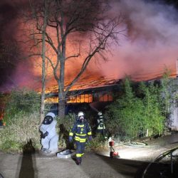 Germany_Zoo_Fire_35073