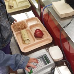 School_Lunches_50971