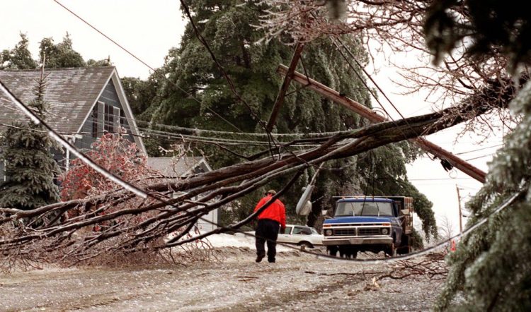 A town official in Farmingdale inspects ice damaged trees and power lines near the height of the ice storm on Jan. 8. 