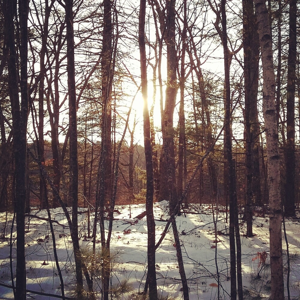 Community News – Kennebunk Land Trust offers Snow Stroll