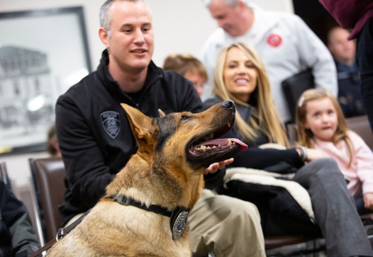 Jagger, a Wells police dog with a terminal cancer diagnosis, sits in on a town hall meeting Tuesday with Capt. Kevin Chabot, his wife, Keri, and their daughter, Olivia, 5. Jagger was awarded retirement and recognized for over six years of service.