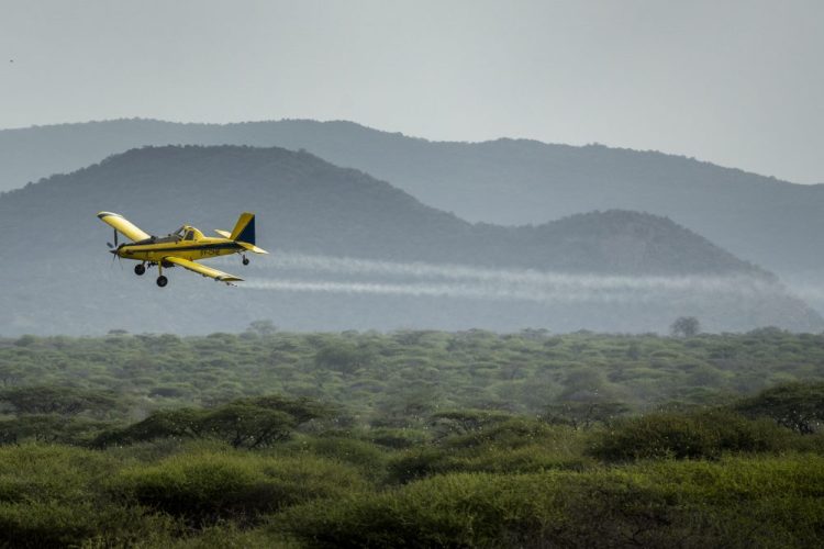 A plane spraying pesticides flies over a swarm of desert locusts Saturday in Nasuulu Conservancy, northern Kenya. As locusts by the billions descend on parts of Kenya in the worst outbreak in 70 years, small planes are flying low over affected areas to spray pesticides in what experts call the only effective control.
