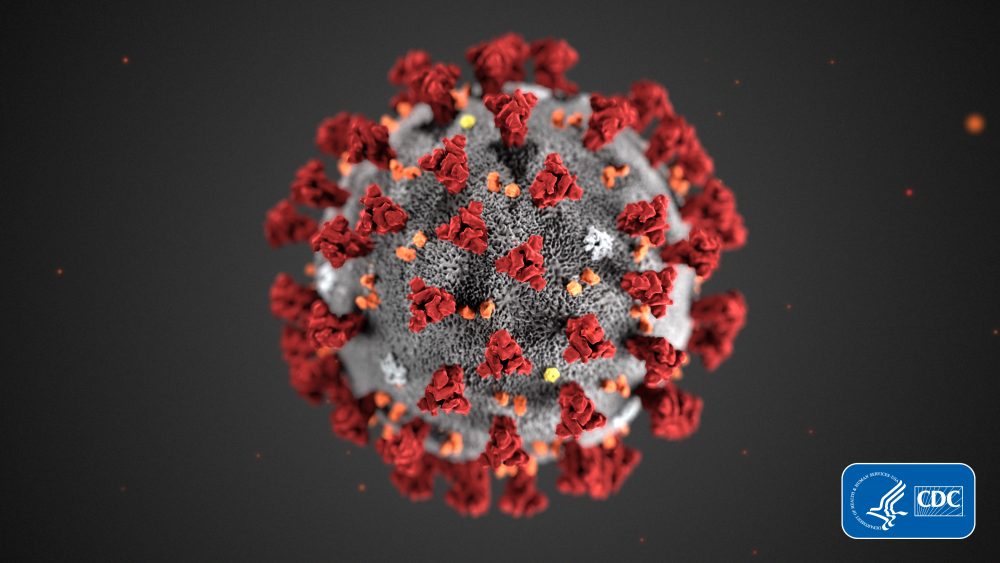 China_Outbreak_Virus_Name_10815