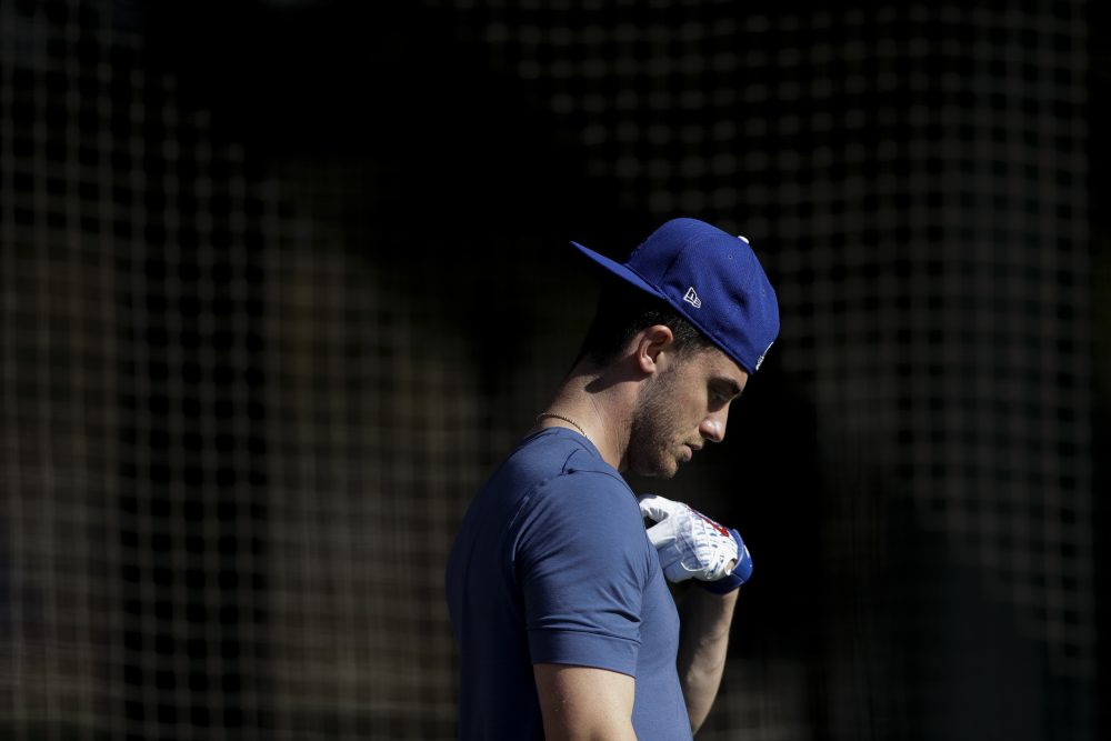 Dodgers_Spring_Baseball_73807