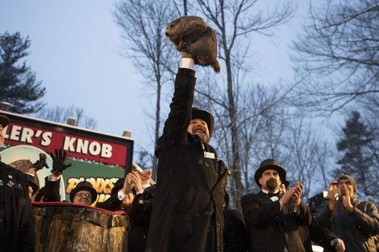 Al Dereume holds Punxsutawney Phil, the weather prognosticating groundhog, during the 134th celebration of Groundhog Day on Gobbler's Knob in Punxsutawney, Pa. 