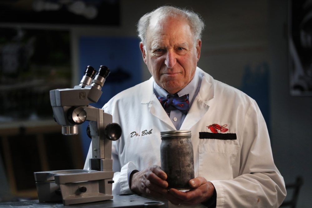 Robert Bayer
