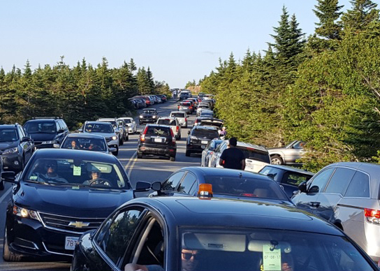 Congestion in Acadia National Park

