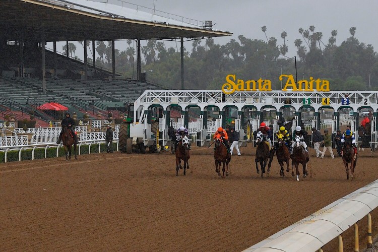 Horse racing at Santa Anita Park was canceled on Friday, 30 minutes before an eight-race card was set to begin.