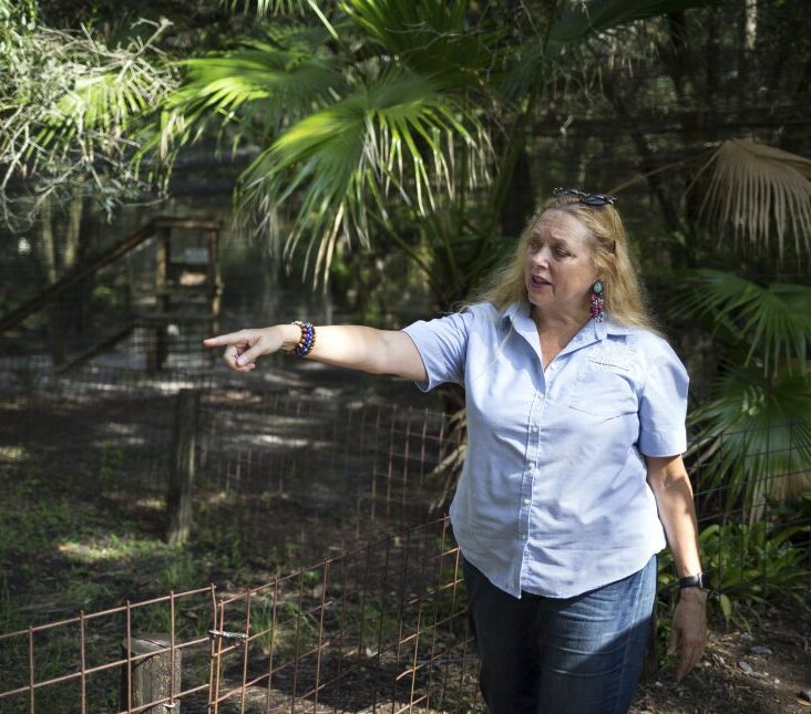 Tiger_King-Missing_Man_23549