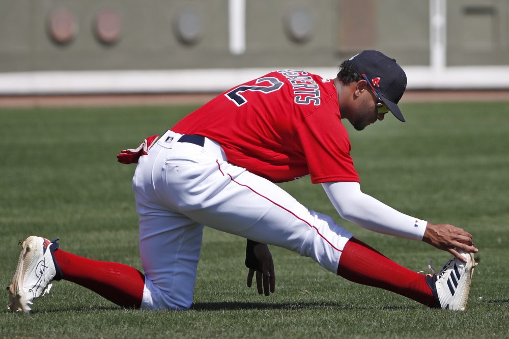 Tigers_Red_Sox_Spring_Baseball_53929