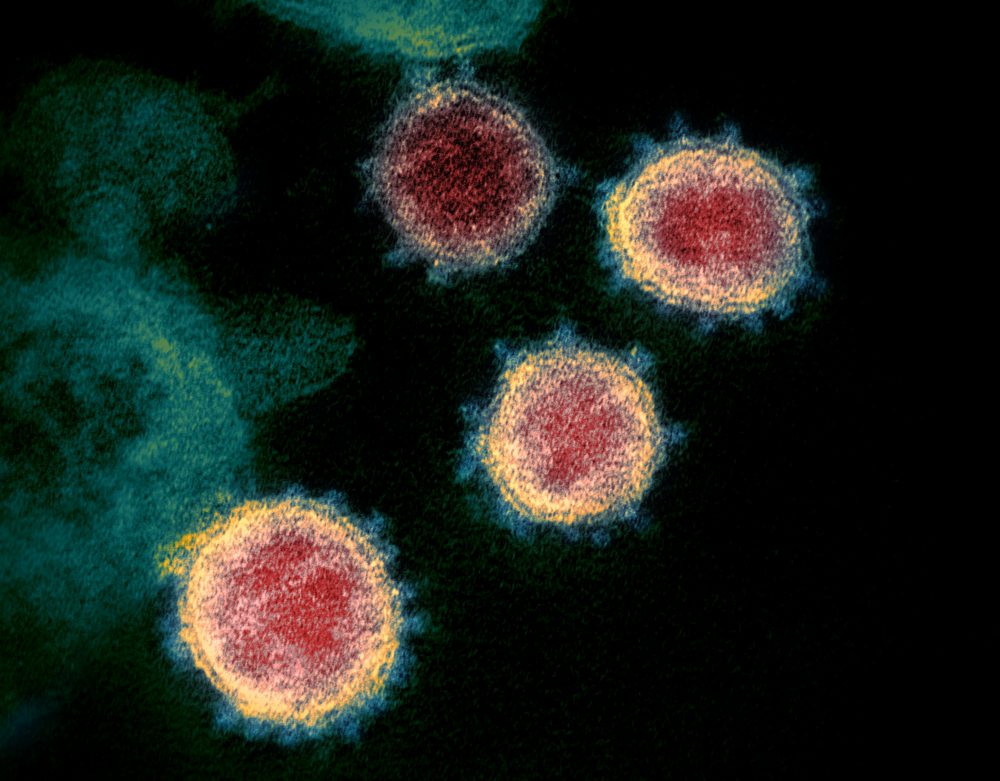 Virus_Outbreak_Treatments_58576