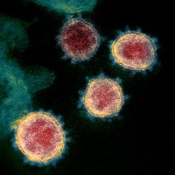 Virus_Outbreak_Treatments_58576