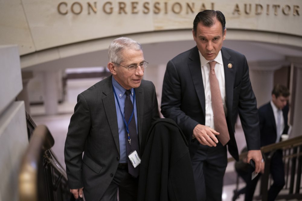 Anthony Fauci, Tom Suozzi