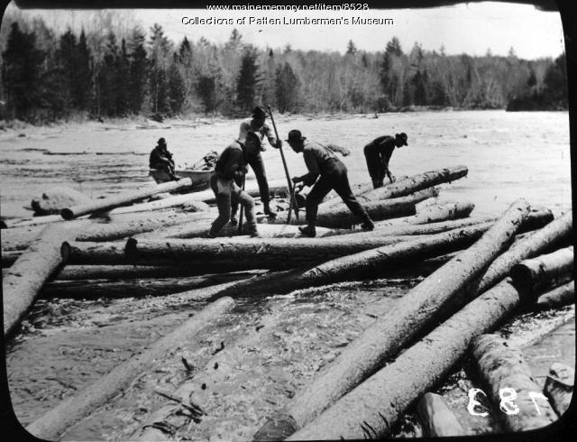 A Northern Maine log drive circa 1900. Before European settlement, in other words before logging, more than half of Maine forests were old-growth.
