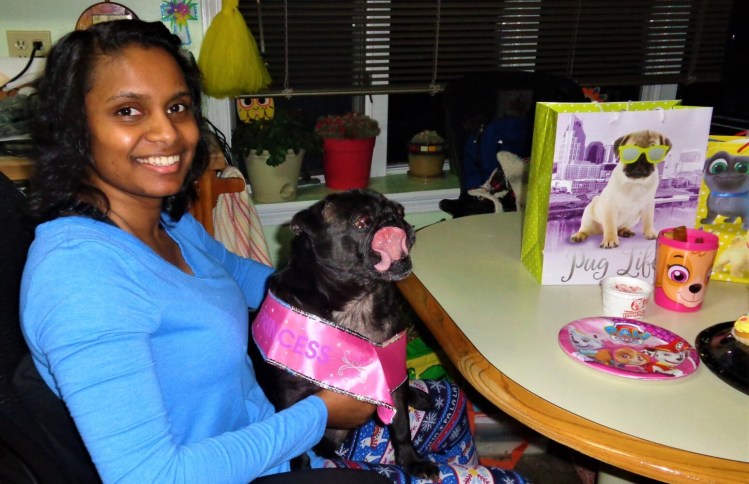 Annie the pug, held by CariAnn Means, of Chelsea, celebrated her 12th birthday April 4 at the home of Tina and Charlie Means. The family's labrador Gracie also attended.