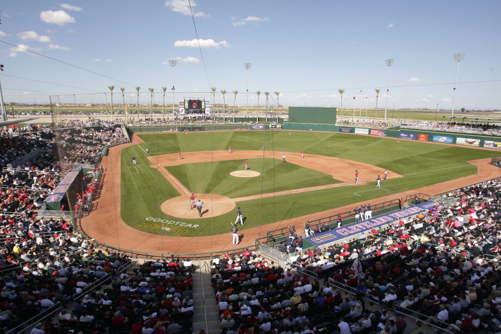 Virus_Outbreak_Baseball_06715