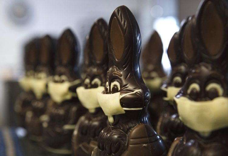 Chocolate rabbits with face masks are lined up at the Cocoatree chocolate shop in Lonzee, Belgium, on Wednesday. As all non-essential shops in Belgium have been closed due to the outbreak of COVID-19, many chocolatiers have had to resort to online sales, home delivery or pick up on site. 