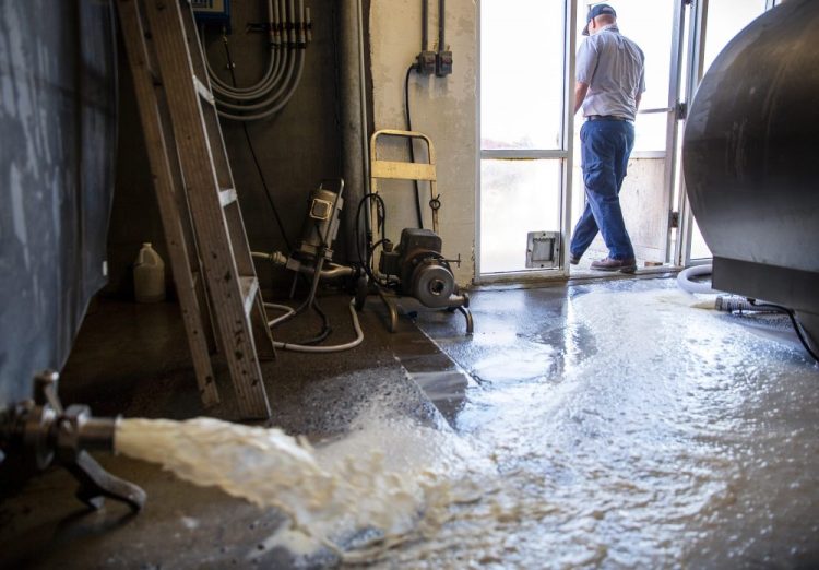 Ricky Jones, operations manager at Magic Valley Quality Milk Transport, walks out the door as 4,100 gallons of milk pour down the drain on Wednesday at the Azevedo Family Dairy in Buhl, Idaho. With restaurants across the country closed, milk processors have lost a significant chunk of their market, leaving dairy farmers with no one to take their milk. "It's hard to watch that go down the drain,' owner Richard Azevedo says.