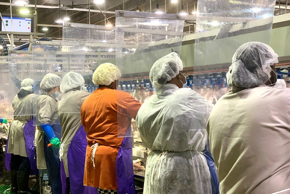 Virus_Outbreak_Meat_Processing_Safety_71700