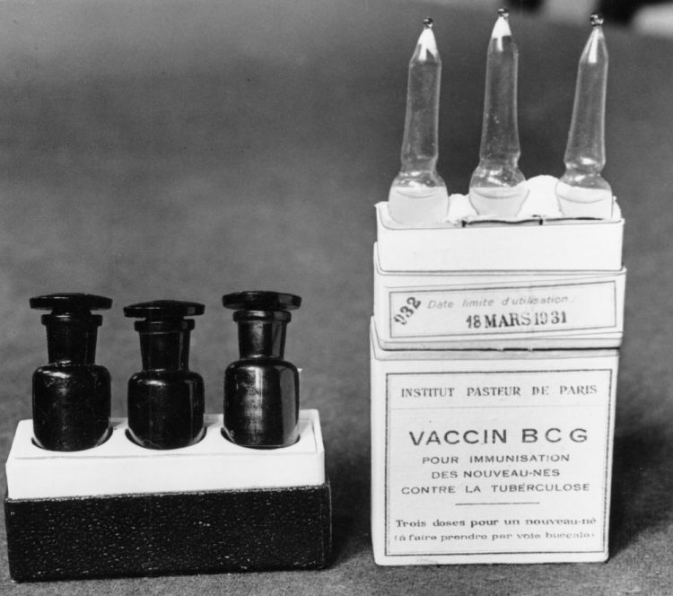 Ampules of the BCG vaccine against tuberculosis are shown in a laboratory at the Institute Pasteur in Paris in 1947. Scientists are dusting off some decades-old vaccines against TB and polio to see if they could provide protection against COVID-19 until a more precise shot arrives. 