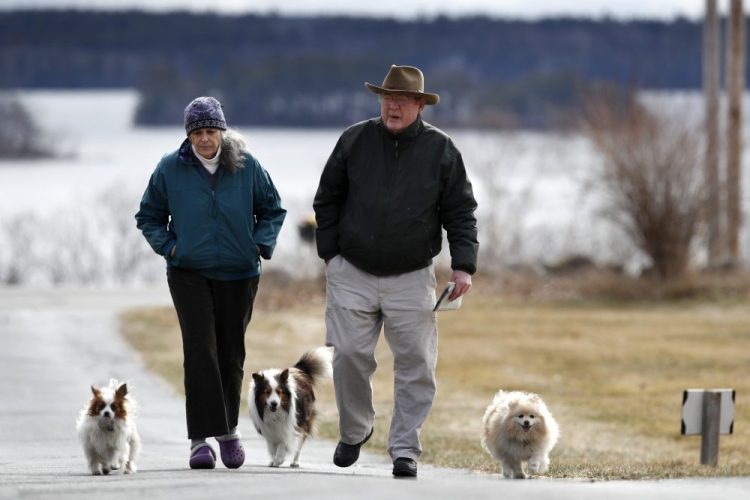 Betsy and David Sheen are joined by their dogs April 1 as they walk up their driveway after getting the mail at their home in Bowdoinham. The driveway walks help them to get exercise while dealing with the isolation brought on by the coronavirus.