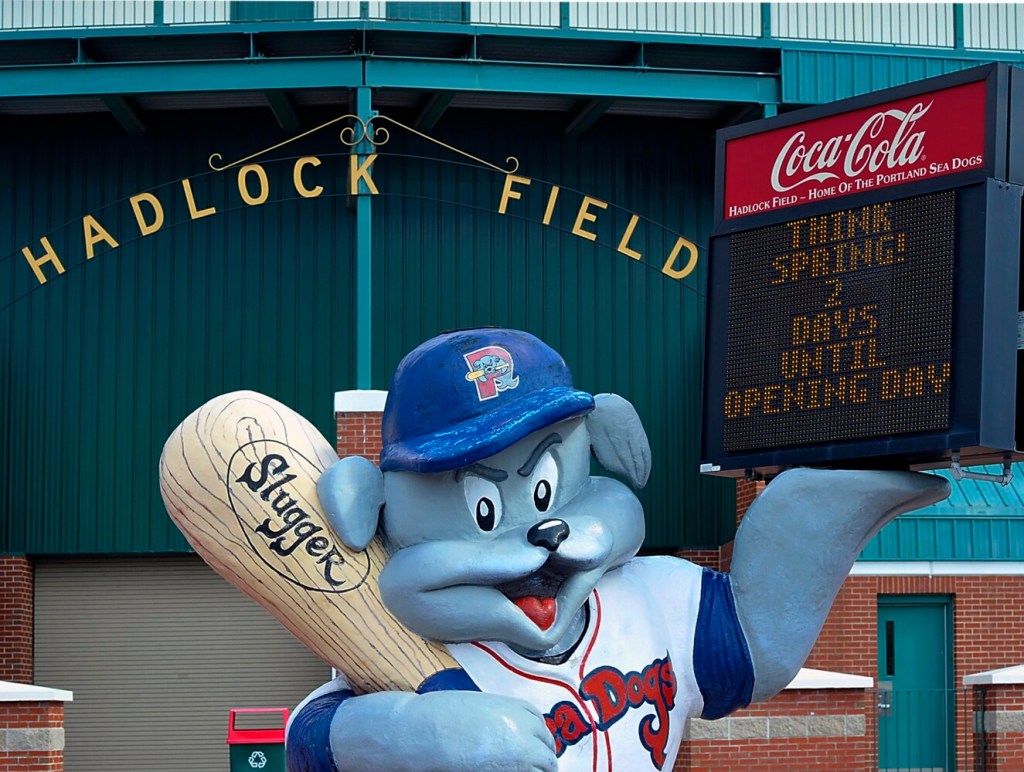 PawSox offer taste of baseball with 'Dining on the Diamond